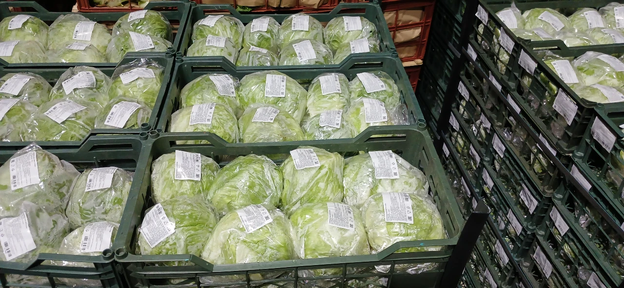 свежий салат айсберг из Ирана